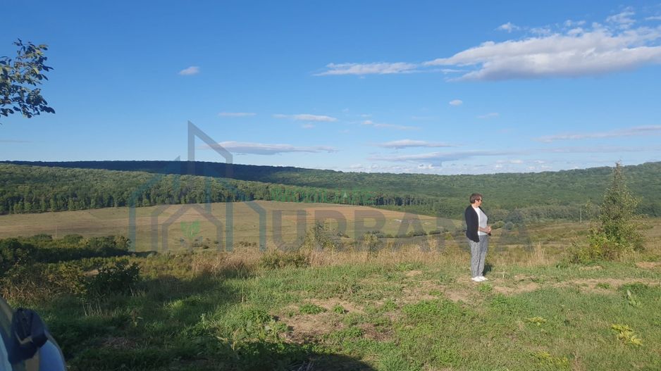 Vând teren Poieni, Schitu Duca - Poză 4