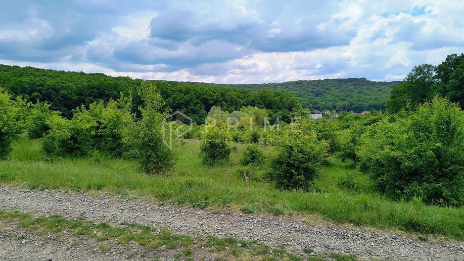 Oportunitate de investiție – 4 parcele în Corunca, 20 €/mp - Poză 3