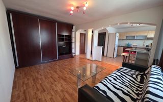 Garsonieră spațioasă Ozana, parcare, centrală proprie, balcon, pet friendly - Poză 5