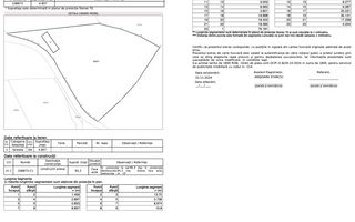 Teren Moieciu zona Pestera | Utilitati | 4.807 mp - Poză 8