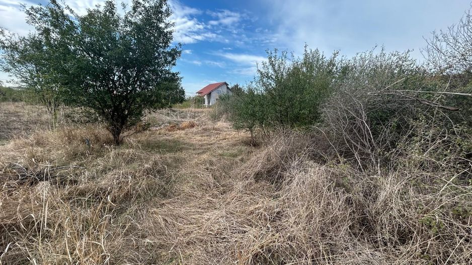 COMISION 0 | Teren intravilan | 945mp | Sacalaz Vest - Poză 8