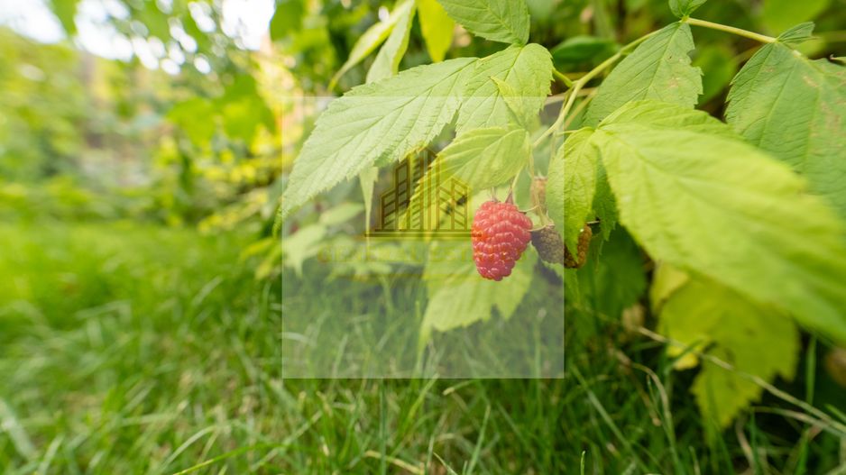 Casa tip Duplex in Critian, Brasov - Poză 18