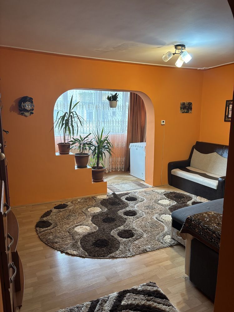 Apartament 1 Camera Calea Buziasului - Poză 2