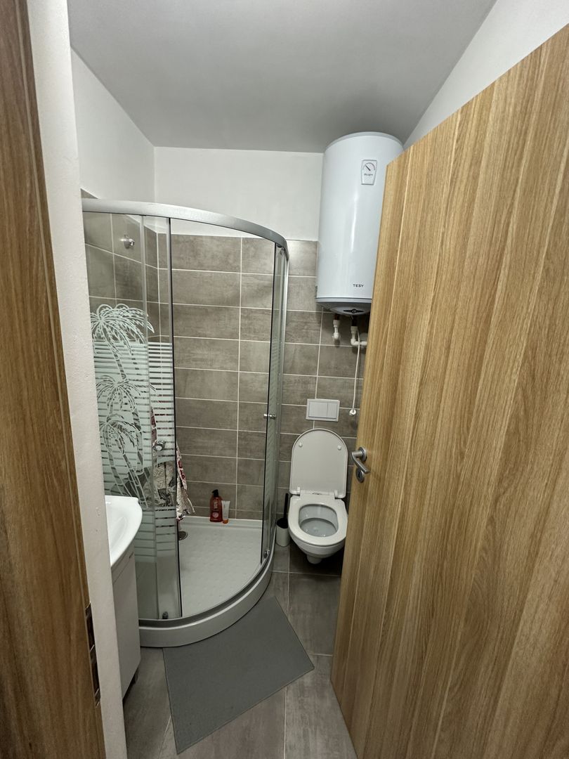 Apartament 1 camera la Mansarda - Poză 7