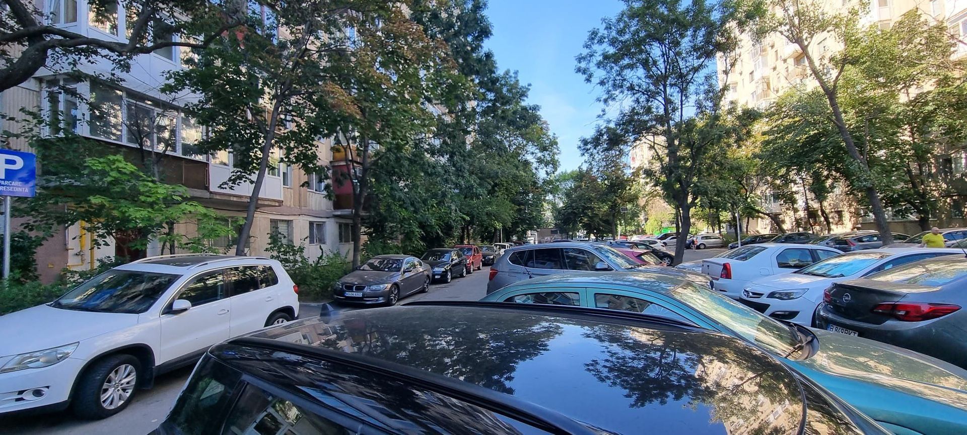 Timisoara Profii - Poză 1