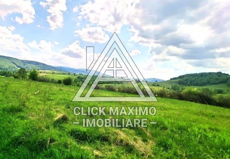 25.000 mp TEREN Ciucea – Calea Lata, jud. Cluj - Poză 4