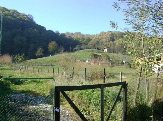 Teren Bocsa Montana - Poză 1