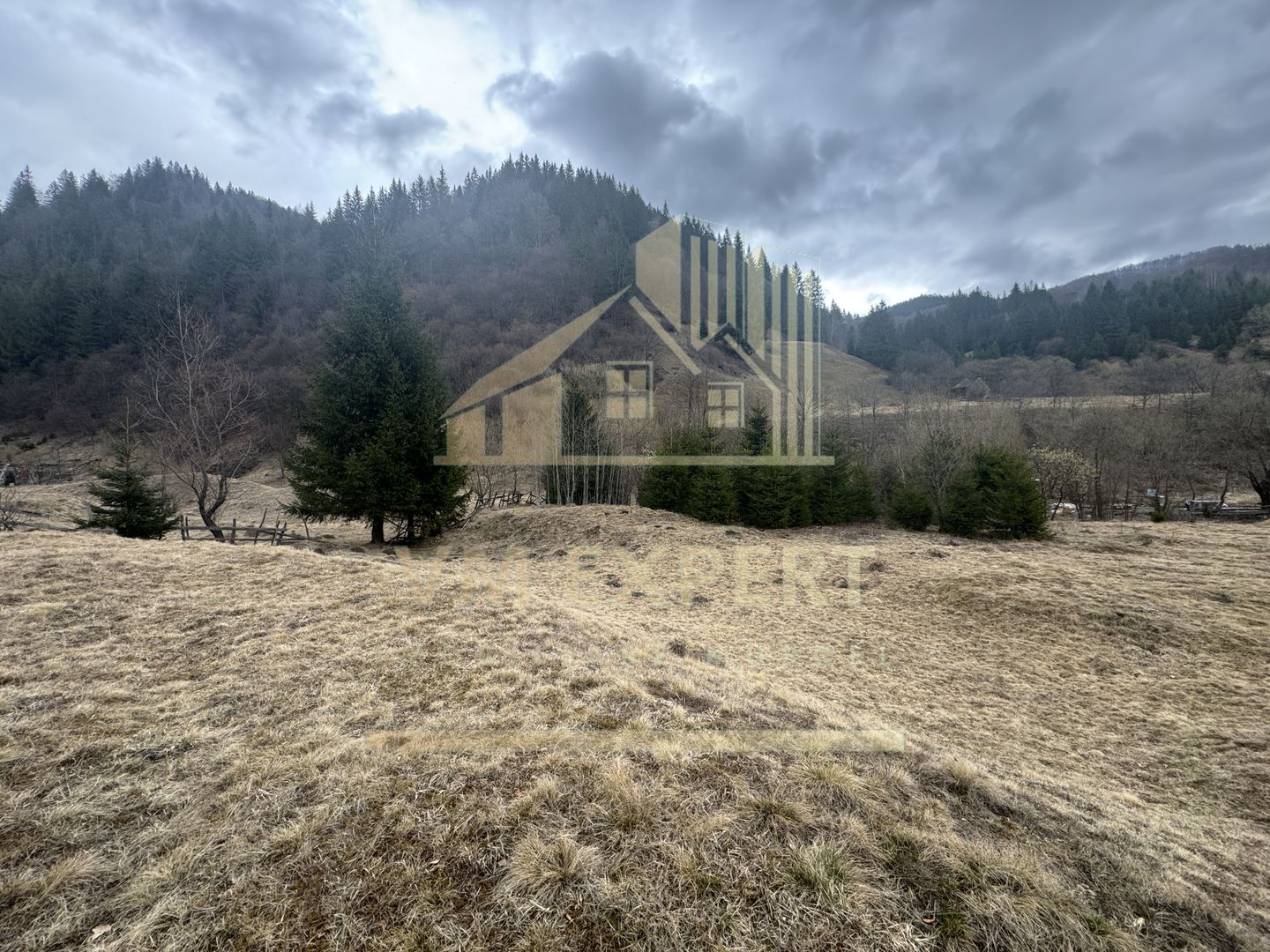 TEREN INTRAVILAN 500 MP SĂTIC- RUCĂR - Poză 11