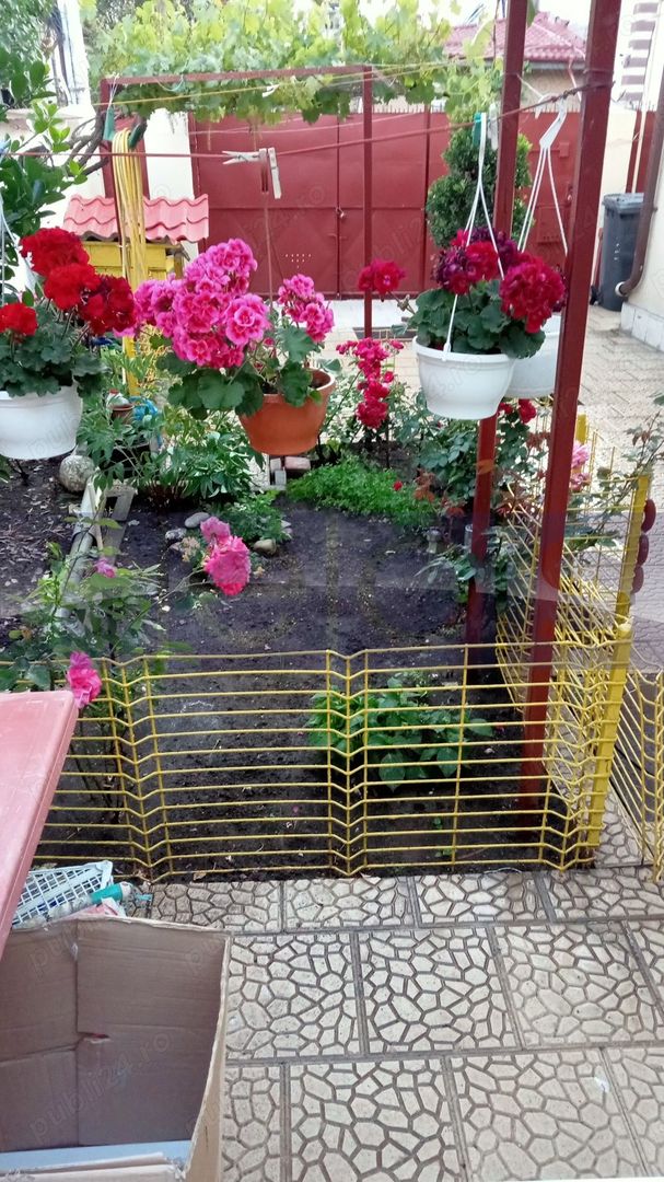 CASĂ | ZONA  DOMENII - Poză 8