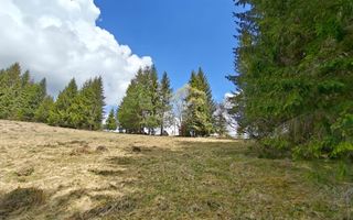 Teren intravilan, 3040 mp, Dealu Botii, com Belis, Comision 0 - Poză 3