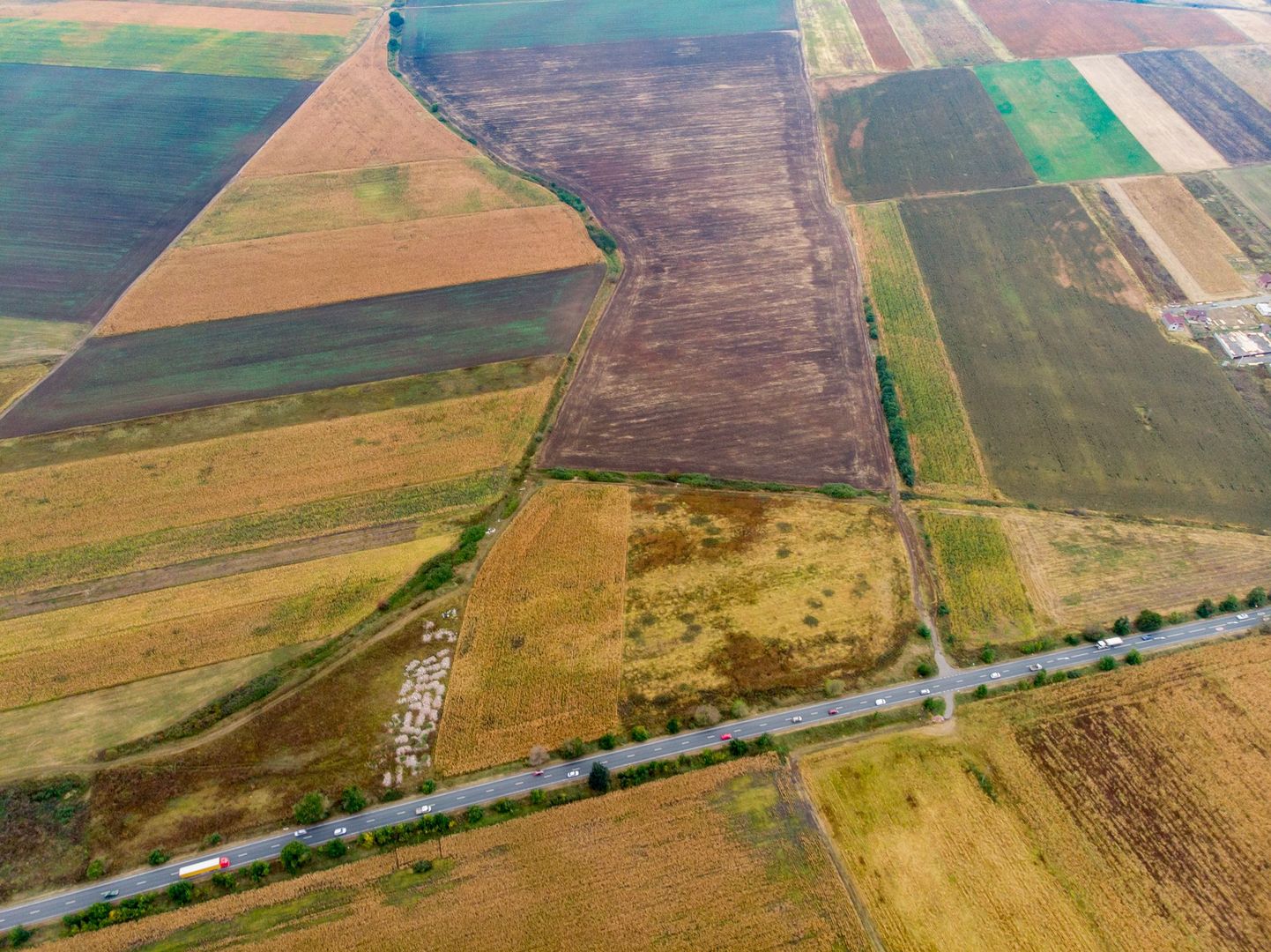 Teren de 19798mp în Zimandu Nou - Poză 4