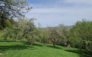 Langa emblematicul Castelul Bran, in areal colinar, 5.700mp intravilan - Poză 8