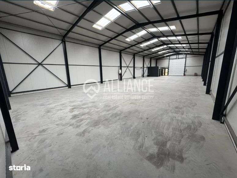 OVIDIU(cod04)-Hala/Spatiu depozitare-productie-CONSTANTA- - Poză 5
