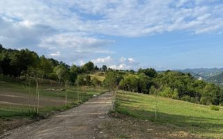 Parcele 1000 mp Sohodol - Poză 10
