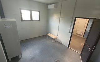 Spațiu comercial, producere+plantație de aronie, Timiș - Poză 12