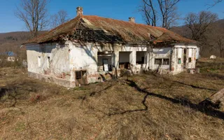 Conac nobiliar de secol XIX cu 8 camere în Maciova - Poză 23