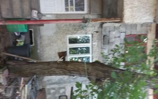 De vanzare casa 6 camere + curte, Rahova/Sos. Alexandriei - Poză 2