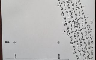 Teren 10.000m2 intravilan Balotesti langa Cartierul LUNA - Poză 3