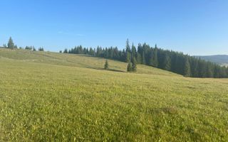 50 hectare teren | Moldova-Sulita | Potential turistic si agricol - Poză 1