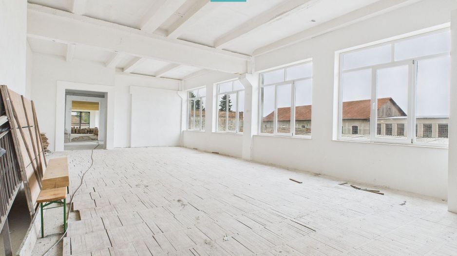 Spațiu de 270 mp pentru investiții în Periam - Poză 8