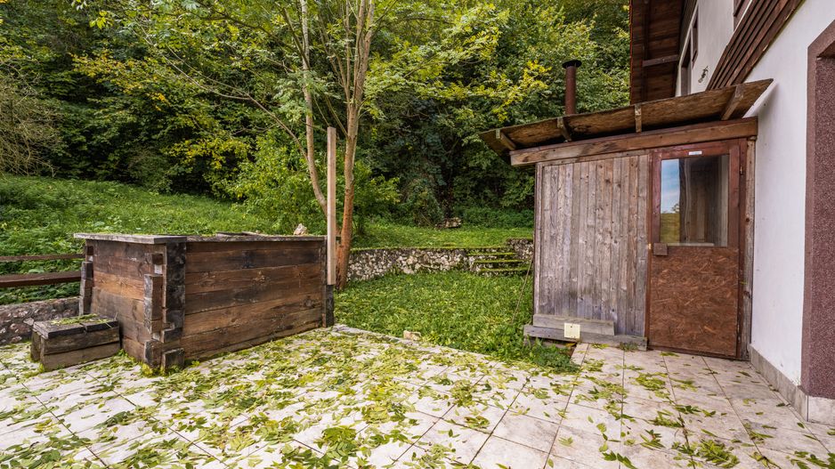 Domeniu în satul Căprioara - Poză 8