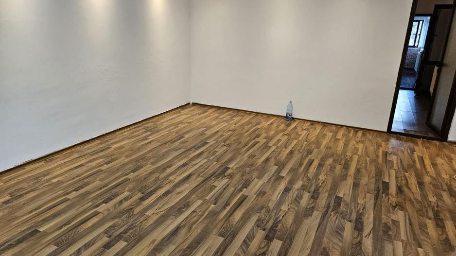 Inchiriere casa nemobilata, Stefanesti - Golesti - Poză 3