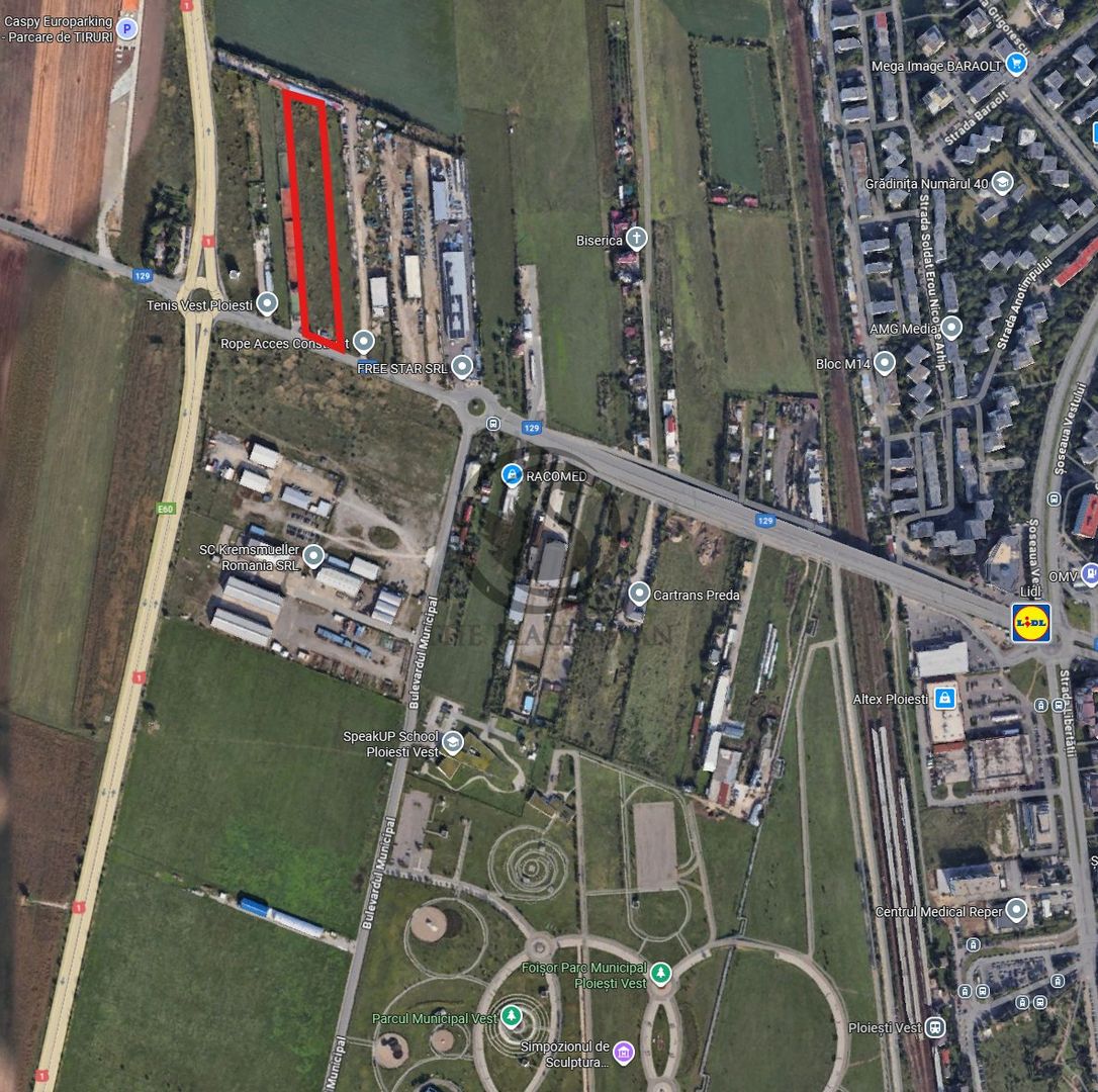 Teren intravilan de vanzare | 10.001 MP | Ploiesti  Vest | Comision 0% - Poză 6