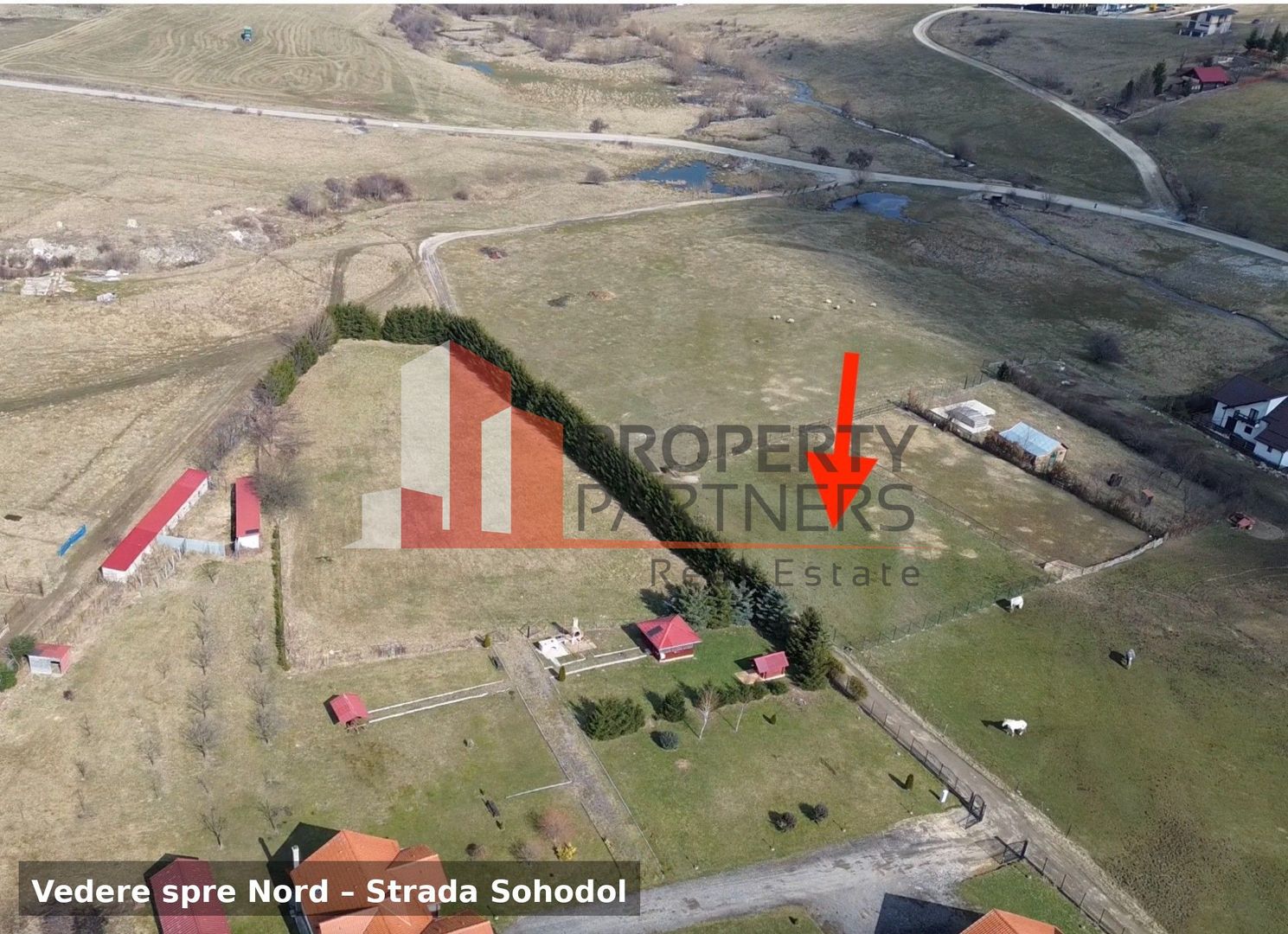 Teren intravilan 1.495 mp | Bran- Tohanul Nou | Vedere Bucegi | Deschidere 45 m - Poză 4