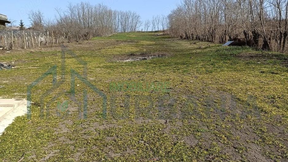Casă renovată, Romanesti, Iași – 3 camere, 50 mp utili, teren 3240 mp - Poză 14