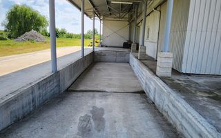 Spatiu industrial productie/ depozitare, Timiș - Poză 11