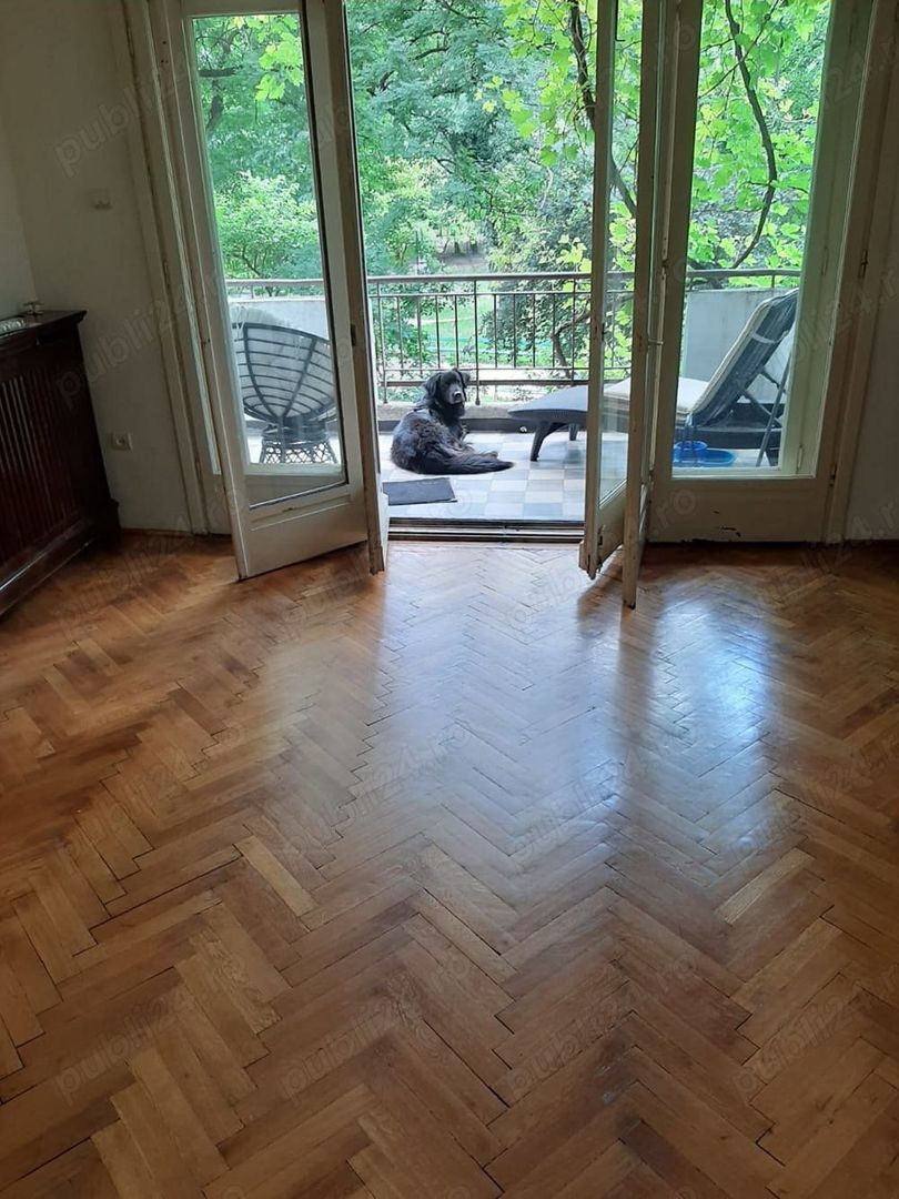 Vând apartament 185mp la Cișmigiu - Poză 8