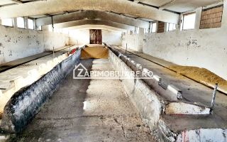 Hale cu suprafete utile de 832 mp si 578 mp. birouri 187 mp - Poză 4
