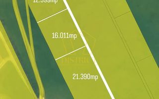 Teren intravilan 50.000mp | Sacalaz | - Poză 1