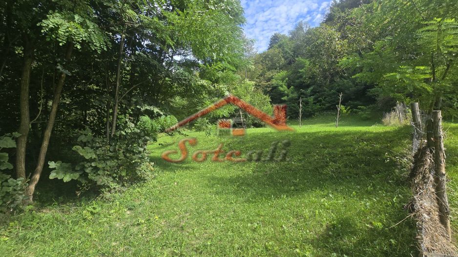 Oportunitate de investiție în Breaza – teren intravilan de 3.591 mp - Poză 2