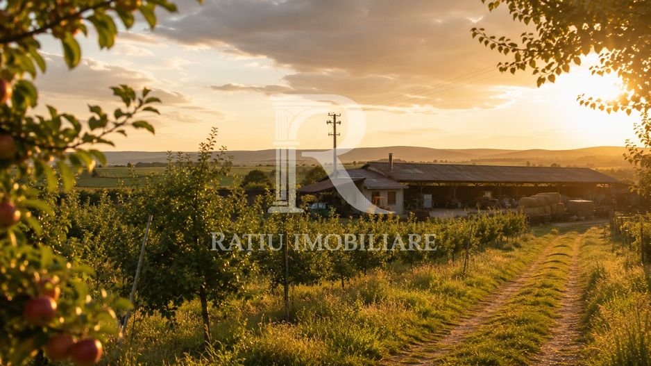 Activ agricol integrat | 67,5 ha | Oportunitate investițională - Poză 1