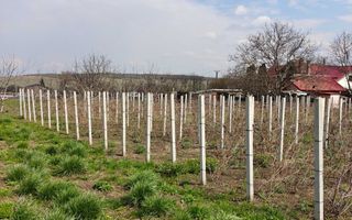 Teren de vanzare sat Madarjesti (langa Sarca) - Poză 3