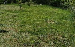 Teren intravilan de vanzare, Vorovesti, comuna Miroslava - Poză 6