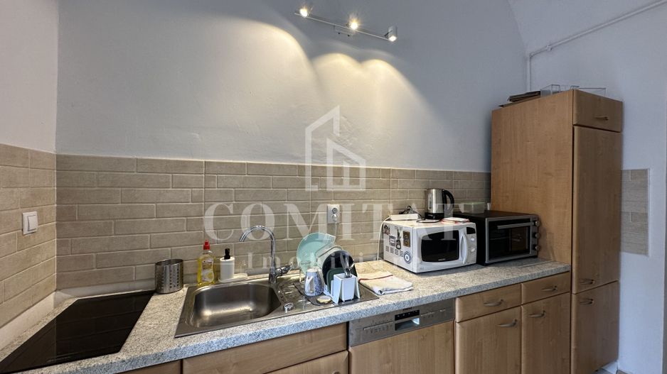 Apartament o camera | Ultracentral | Parcare - Poză 8