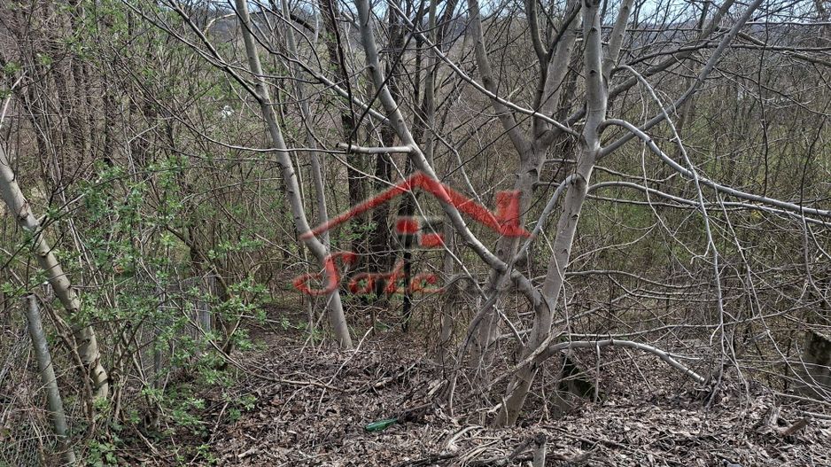 Teren de vanzare Cornu de Jos - Poză 2