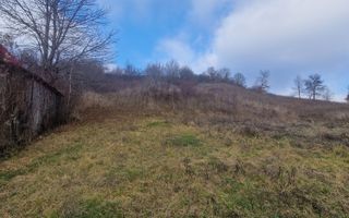 Teren intravilan | Livezile - Poză 7