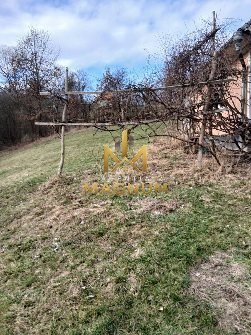 Casa de vanzare in Berinta Maramures - Poză 2