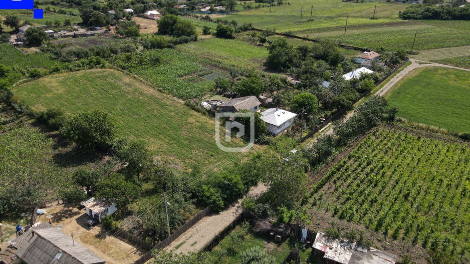 Teren - Ionășeni | BOTOȘANI | 3.285mp - Poză 4