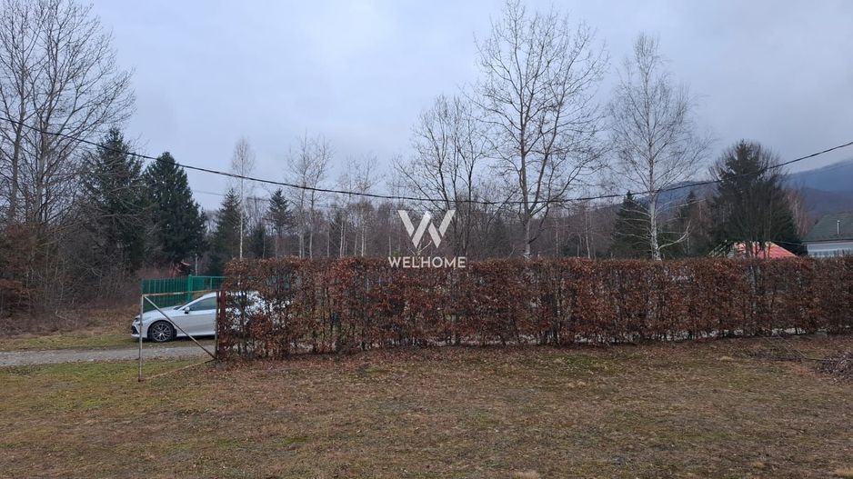 Teren 2000 mp, langa padure,  pe Valea Avrigului - Sibiu - Poză 9