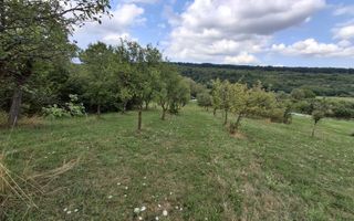 De vânzare teren extravilan în Sibiel, jud. Sibiu – 3223 mp - Poză 5