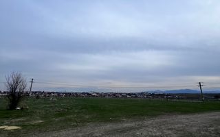 Teren Arabil Turnișor - Spre ferma de pui - Poză 6