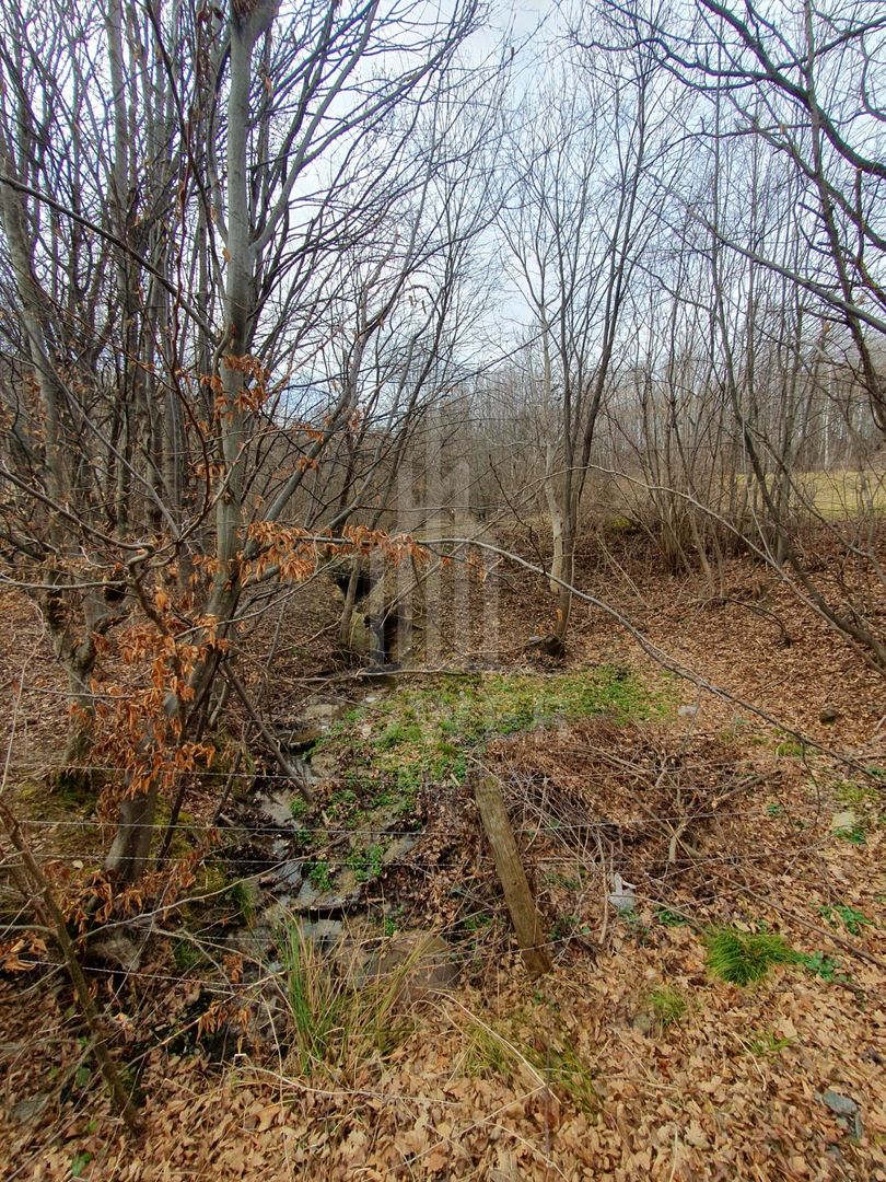 Teren Intravilan 2.938 mp | Tocile - Poză 13