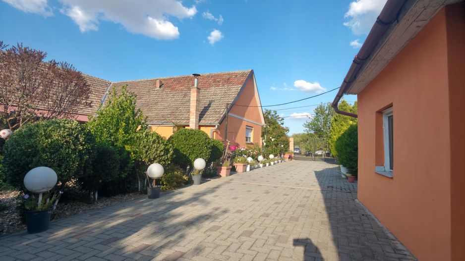 Casa Parter Becicherecu Mic 5 Camere,Vatra Veche,Teren Generos 1600mp,F.s 36 mp - Poză 4