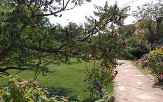 Casă stil american, structură de lemn, 176 mp utili, teren 1400 mp - Poză 3