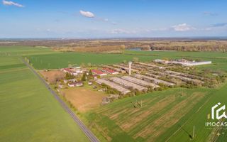 De vanzare Complex Zootehnic Suine Jud. Arad SU 15.30ha, Ferma, Grajd - Poză 9