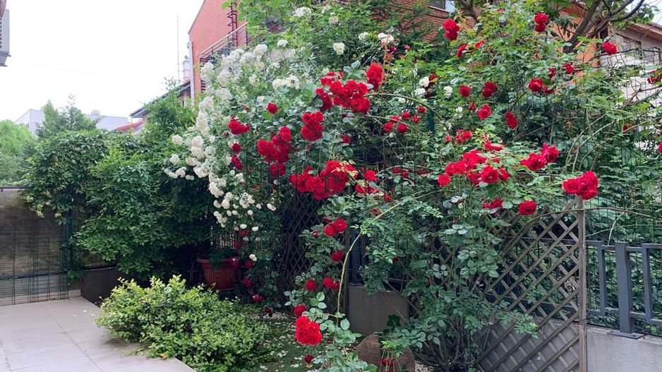 Apartament luminos si spatios renovat in zona Herastrau - Poză 13